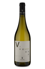 Calyptra Vivendo Reserve Sauvignon Blanc 2018