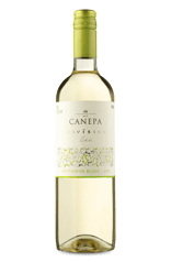 Canepa Novísimo Sauvignon Blanc 2019