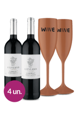 WineBox Compre Cabernet Sauvignon Africano e Ganhe 2 Taças