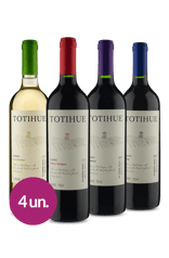 Winebox Degustação Totihue