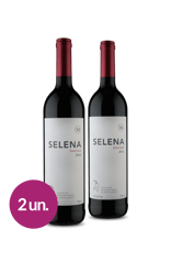 WineBox Duo Marianne Pinotage