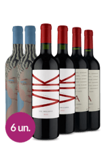 WineBox Família Vik - 6 garrafas