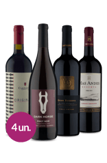 Kit Seleção Top Tintos Wine (4 garrafas)
