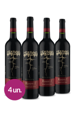Kit Root: 1 Reserva D.O. Valle Del Maipo Heritage Red 2019
