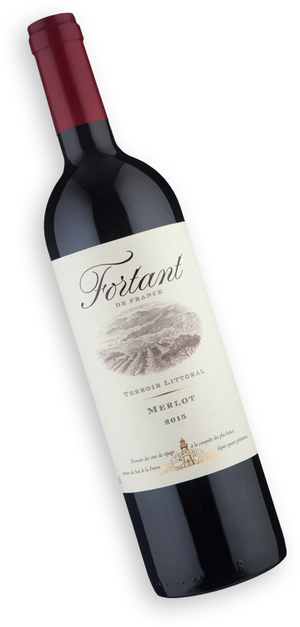 Fortant de france Terroir Littoral Merlot 2015 - Wine