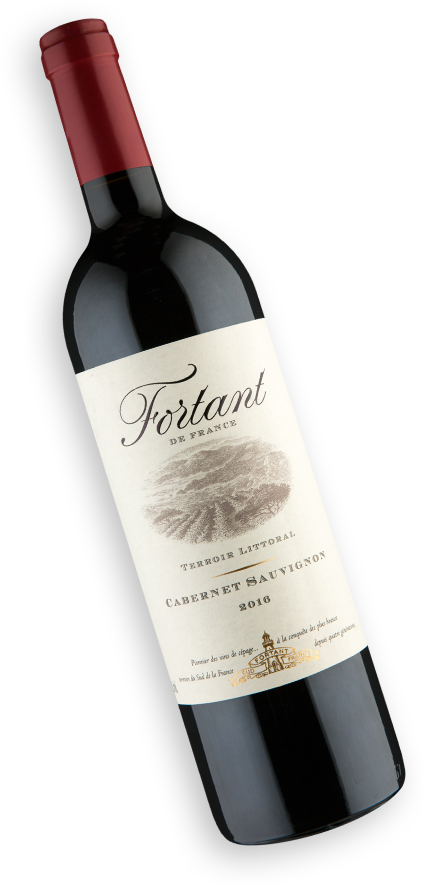 Fortant de France Terroir Littoral Cabernet Sauvignon 2016 - Wine