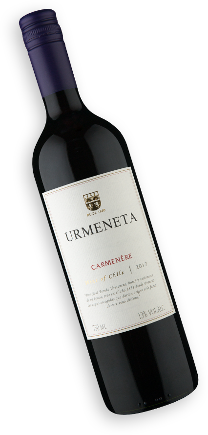 Carménère 2017 Wine