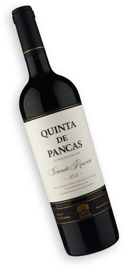 Quinta De Pancas Grande Reserva 2015 Wine quinta-de-pancas-grande-reserva-2015-wine