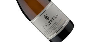 Calyptra Gran Reserva Sauvignon Blanc 2015