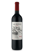 Altivo Classic Mendoza Malbec 2018