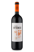 Salton Intenso Merlot Tannat 2017