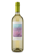 Paine Sauvignon Blanc 2019