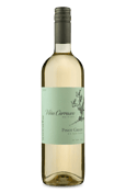 Viña Carrasco D.O. Valle Central Pinot Grigio 2020