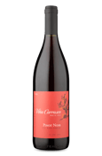 Viña Carrasco D.O. Valle Central Pinot Noir 2021