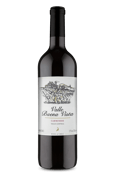 Valle Buena Vista Carménère 2021