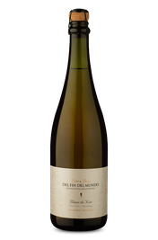 Espumante Del Fin del Mundo Pinot Noir Chardonnay Extra Brut