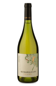 Metropolitano D.O. Valle Central Chardonnay 2023