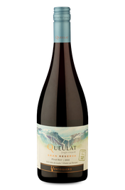 Ventisquero Queulat Gran Reserva Valle de Casablanca Pinot Noir 2022