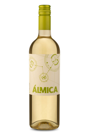 &Aacute;lmica D.O. Regi&oacute;n del Valle Central Sauvignon Blanc 2024