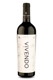 Calyptra Vivendo Reserve Assemblage D.O. Cachapoal Valley 2023