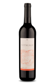 Viticale Vibrante 2024
