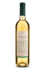 Viticale Branco 2024