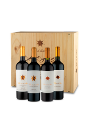 Pack Clos De Los Siete By Michel Rolland Vertical Safras 2016&middot;17&middot;18&middot;19