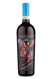 Tenuta Sant`Antonio Nanfr&egrave; D.O.C. Valpolicella 2024