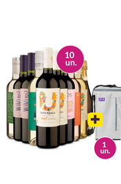 Kit 10 - S&oacute; Suave + Bolsa p/ 3 garrafas Gr&aacute;tis - Exclusivo We