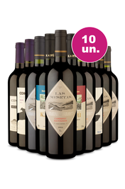 Kit 10 - Vinhos Tintos por R$ 25,90 por garrafa - Exclusivo We