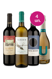 Kit 4 - Fazendo o Meio Campo de Vinhos e Petiscos - Oferta Absurda