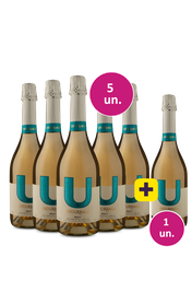 Kit 5 + 1 - Espumante U By Undurraga Brut + 1 garrafa de brinde - Exclusivo WE