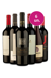 Kit 6 - Tintos para o Happy Hour - Exclusivo We