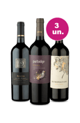 Kit 3 - Sulamericanos Mais Vendidos de Agosto por R$109 - Oferta Insana