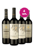 Kit 4 Por R$149 - Seleção de Mais Vendidos