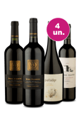 Kit 4 - Tintos Fenomenais - Oferta Insana