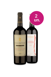 Kit 2 - Tintos do Valle Central - Oferta Absurda