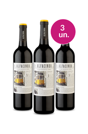 Kit 3 - Alfacinha Regional Lisboa Tinto 2024 - Exclusivo We
