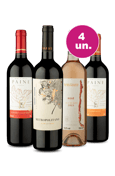 Kit 4 - Chile na Taça
