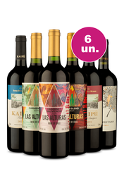 Kit 6 - Tintos no Precinho - Exclusivo We