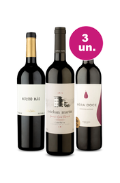 Kit 3 - Conhecendo a Europa por R$149 - Oferta Absurda Black Wine