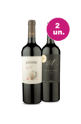 Kit 2 - Malbec Argentino Premium - Oferta Insana