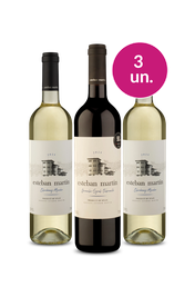Kit 3 - Esteban Martin por R$99 - Oferta Absurda