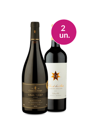Kit 2 - Gran Toqui e Clos de Los Siete - Oferta Absurda