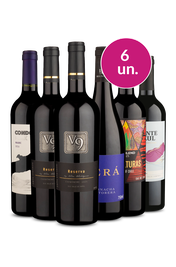 Kit 6 - Tintos no Precinho - Spoiler Black Wine