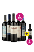 Kit 5 - Tintos Mais Vendidos + Já Pias 375 mL Grátis