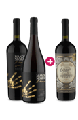Kit Leve 3 Pague 2 Argentinos Tintos