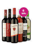 Kit 6 - Campeões por R$249