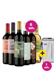 Kit 6 - Suaves + Bolsa p/ 3 garrafas Gr&aacute;tis - Exclusivo We