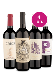 Kit 4 - Malbec Argentino - Oferta Absurda